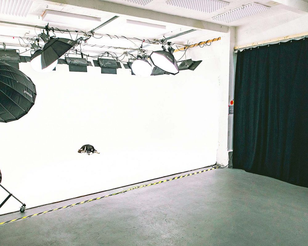 Berlin-Allmost Studio 2-weiße Hohlkehle mit Husky und Vorhang schwarz